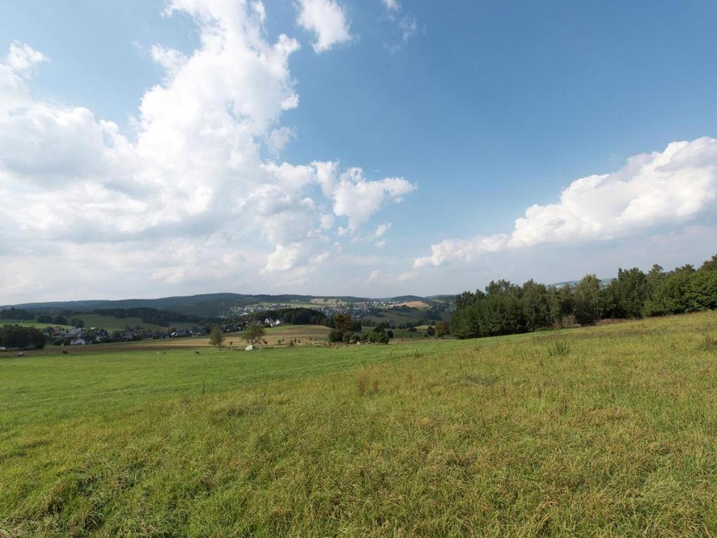 Ferienwohnung Ripa Erzgebirge In Schwarzenberg Шварценберг Екстериор снимка